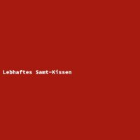 Lebhaftes Samt-Kissen