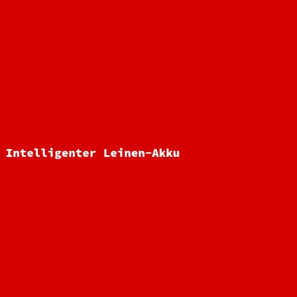 Intelligenter Leinen-Akku