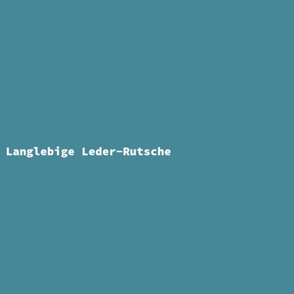 Langlebige Leder-Rutsche