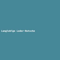 Langlebige Leder-Rutsche
